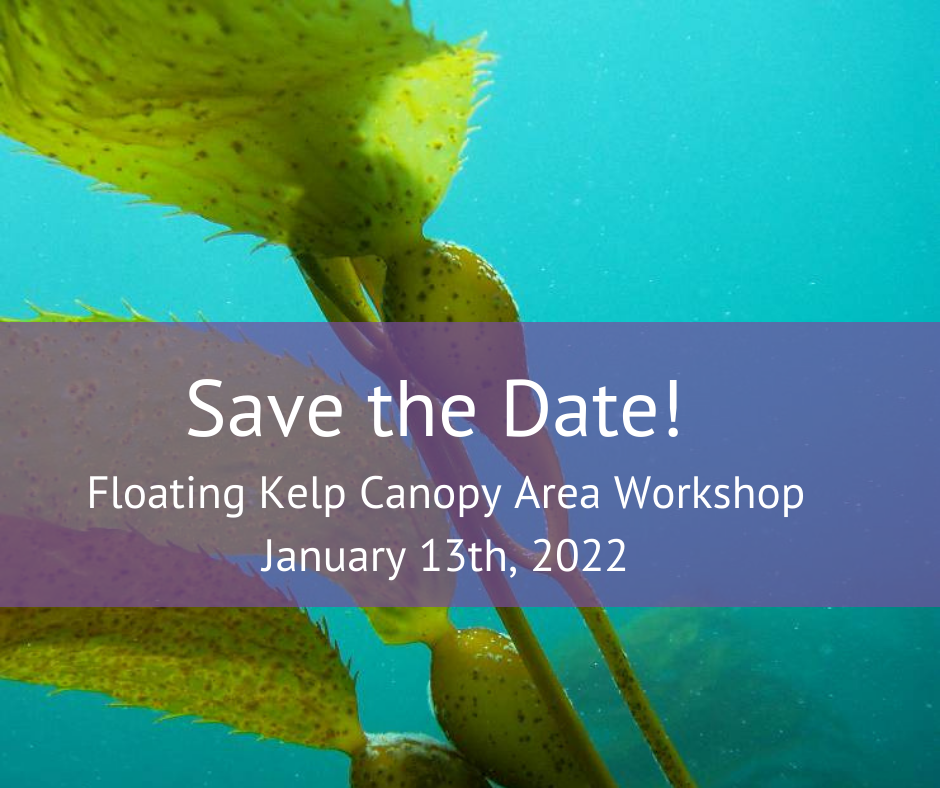 save-the-date-floating-kelp-canopy-area-workshop-january-13th-2022