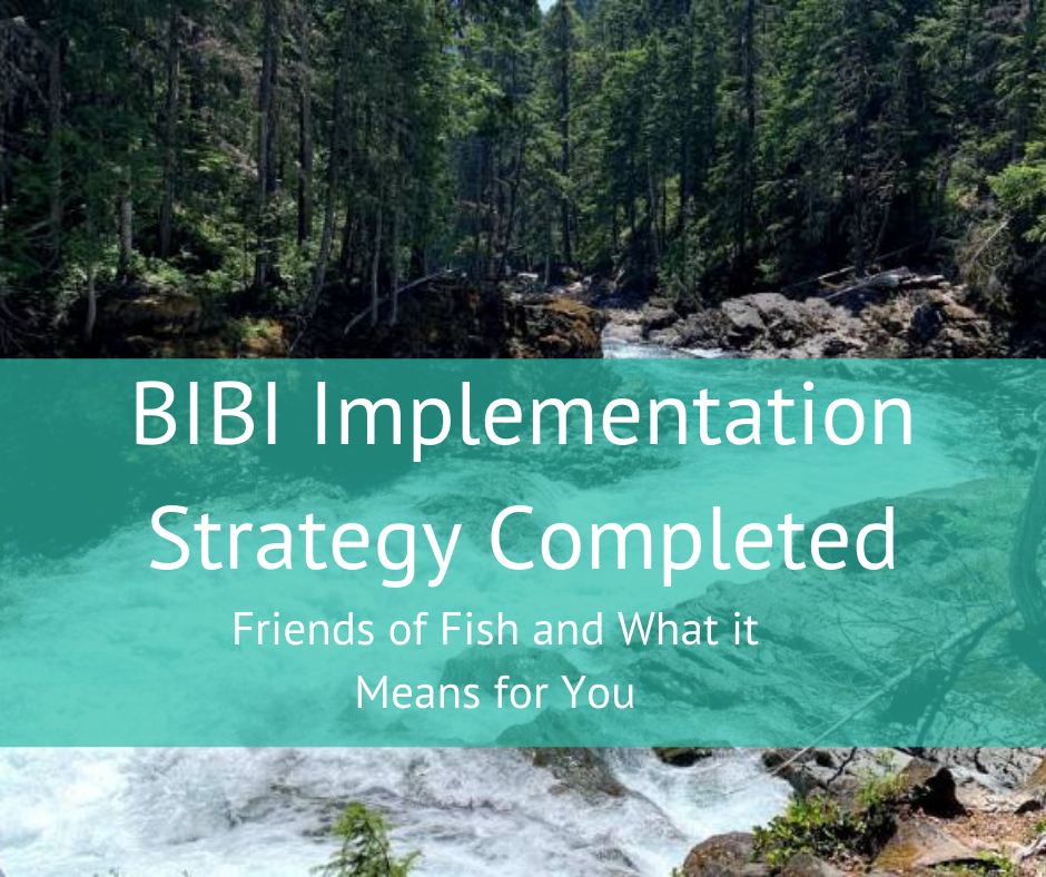 BIBI Implementation Strategy Completed! Friends Of Fish And What It ...