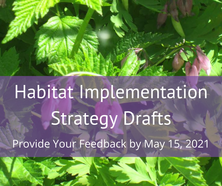 Draft updated habitat implementation strategies available strategic