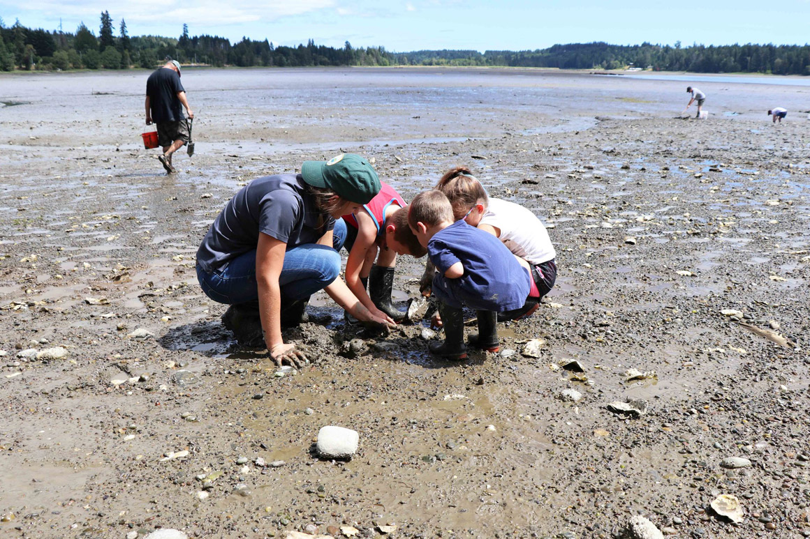 Protecting shellfish for our communities