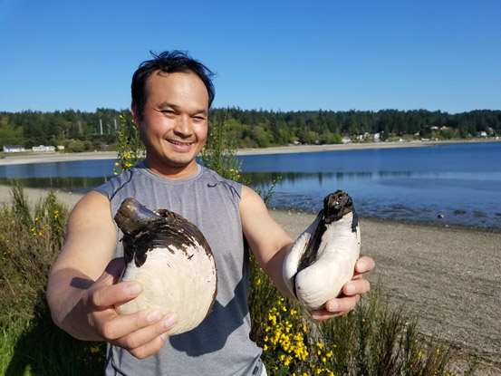 Man holding up two horse clams on a sunny day with beach in the background.