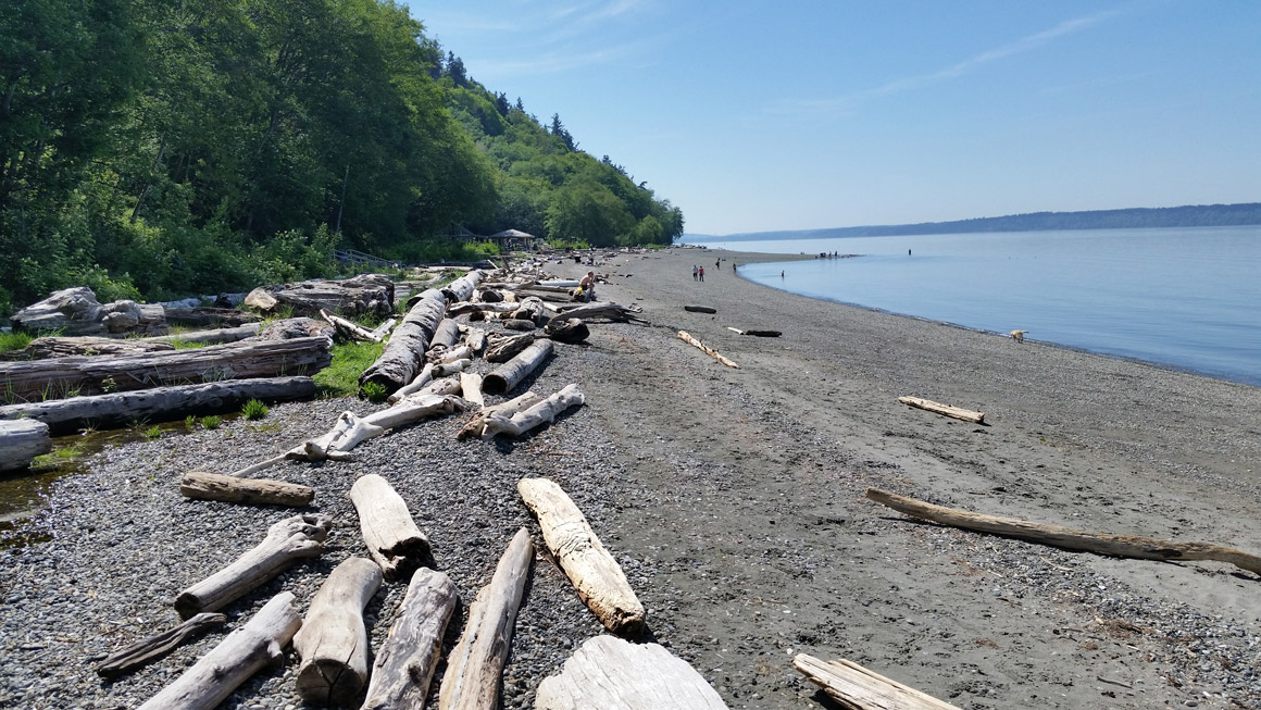 shoreline armoring removal beach restoration