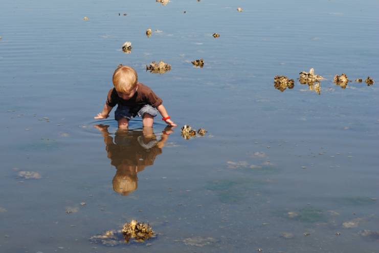 Child playing in the intertidal of lowtide.