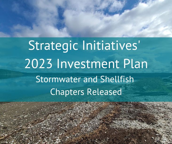 This post announces the release of the Stormwater and Shellfish chapters of the Strategic Initiatives' 2023 Investment Plan