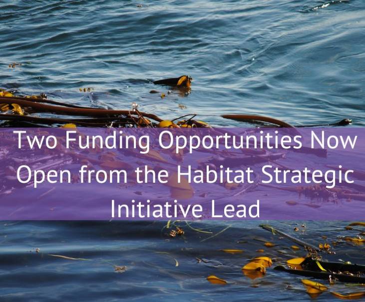 Habitat funding opportunities now open