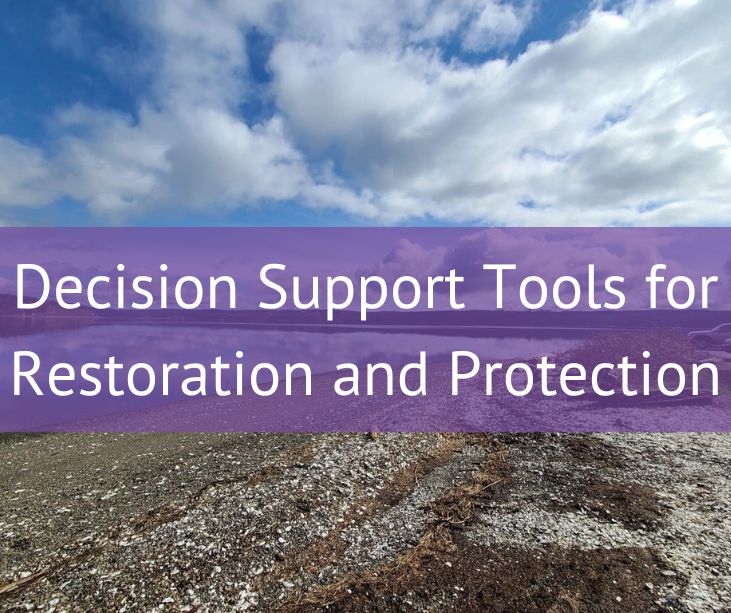 This post describes three decision support tools that can be used for Puget Sound restoration and protection.