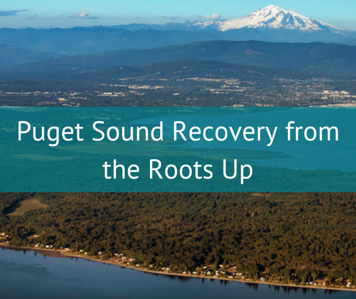 Text reads "Puget Sound Recovery from the Roots Up"