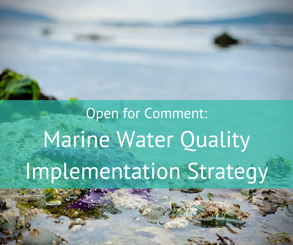 Marine Water Quality Implementation Strategy open for comment