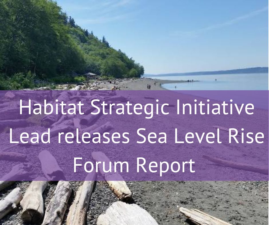 Habitat Strategic Initiative Lead releases Sea Level Rise Forum Report