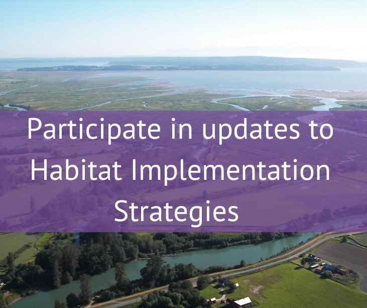 Participate in updates to Habitat Implementation Strategies