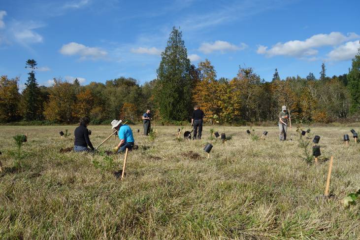 Habitat restoration McCartan_edited Several people in a field working on planting to restore habitat